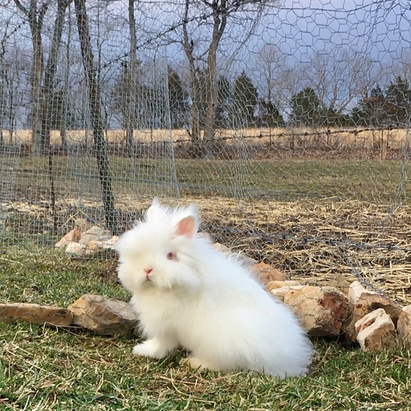 Meet your Posher, Kelly - Picture 6 of 8